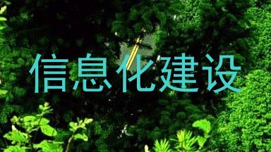 信息化建设