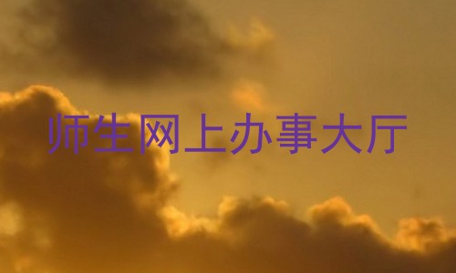 师生网上办事大厅