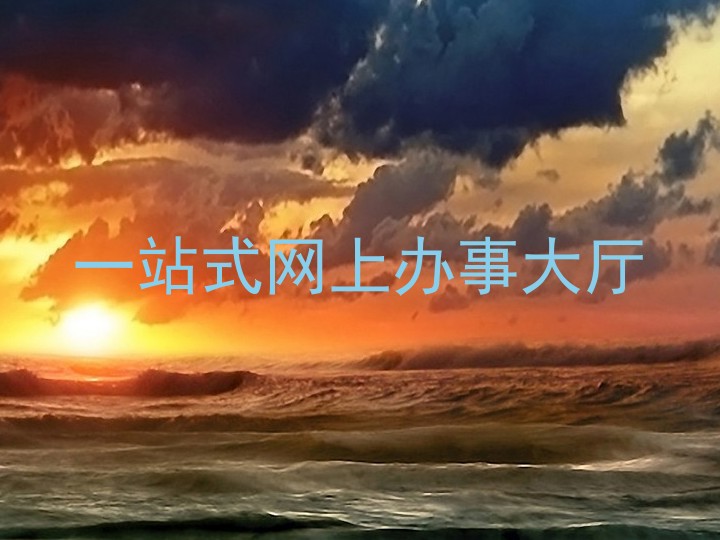 一站式网上办事大厅