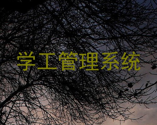 学工管理系统