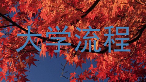 大学流程
