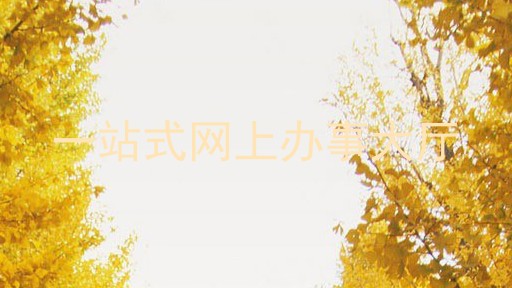 一站式网上办事大厅