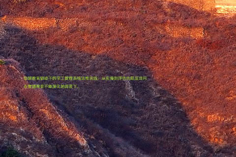 智慧教育驱动下的学工管理系统运维实践:从实操到评估的层层追问
在智慧教育不断深化的背景下,