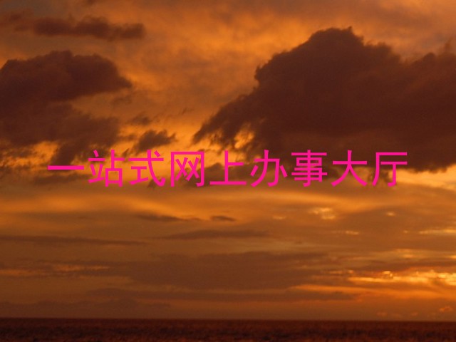 一站式网上办事大厅