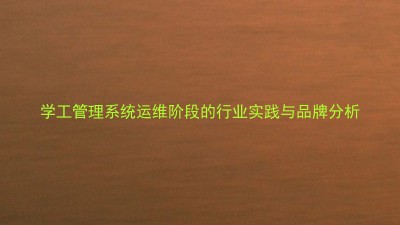 学工管理系统运维阶段的行业实践与品牌分析