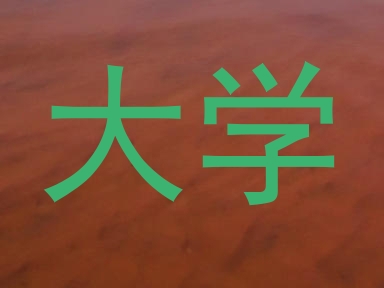 大学