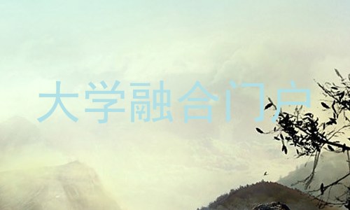 大学融合门户