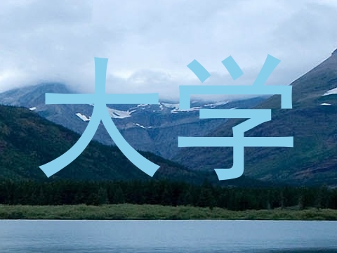 大学