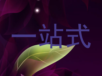 一站式