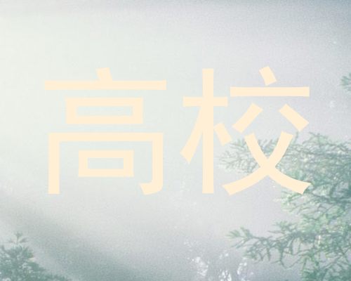高校