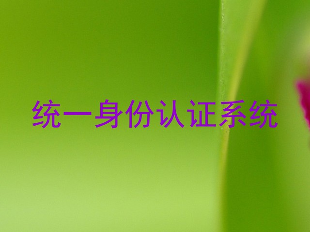 统一身份认证系统