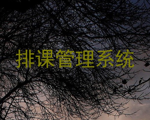 排课管理系统