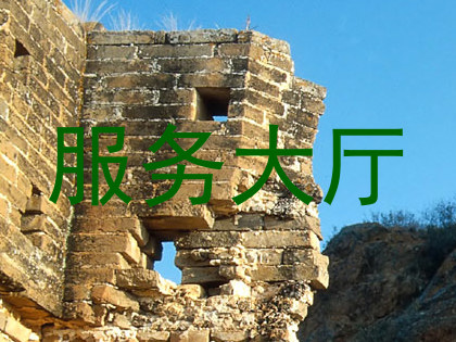 服务大厅