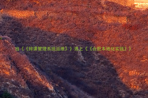 当《《排课管理系统运维》》遇上《《合肥本地化实践》》