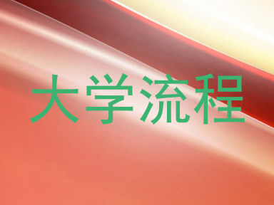 大学流程