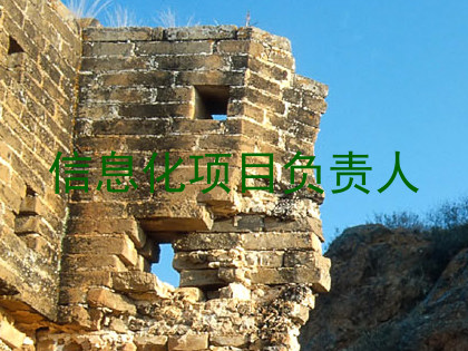 信息化项目负责人