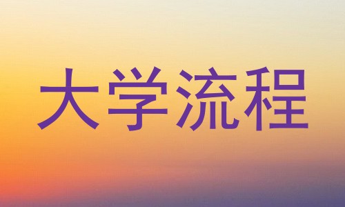大学流程