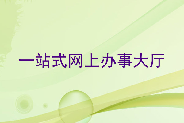 一站式网上办事大厅