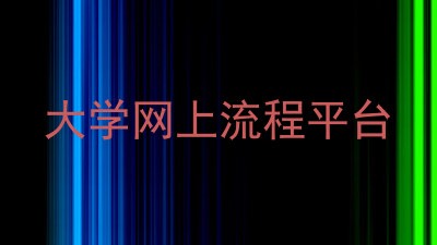 大学网上流程平台