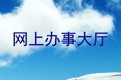 网上办事大厅