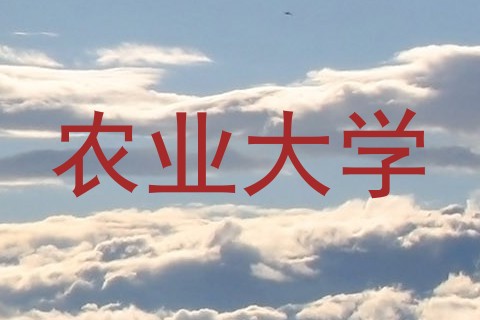 农业大学
