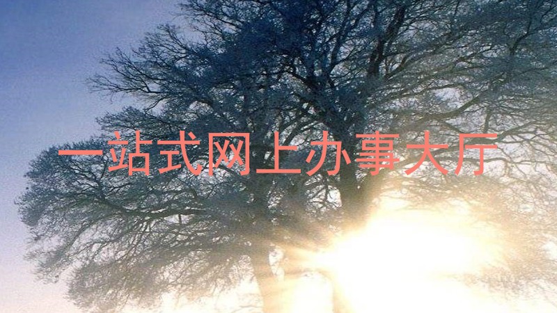 一站式网上办事大厅