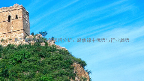 科研管理系统决策顾问分析:聚焦锦中优势与行业趋势