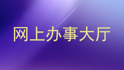 网上办事大厅