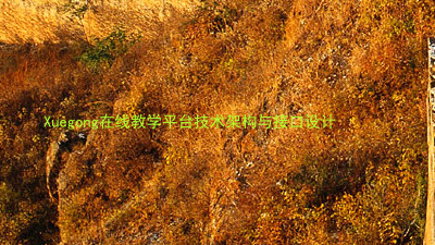Xuegong在线教学平台技术架构与接口设计