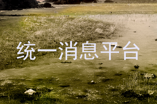 统一消息平台