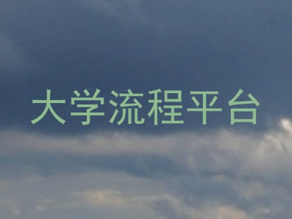 大学流程平台