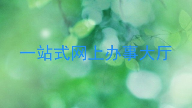 一站式网上办事大厅