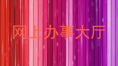 网上办事大厅