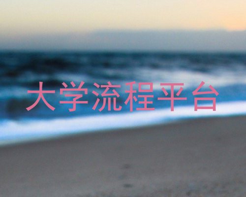 大学流程平台