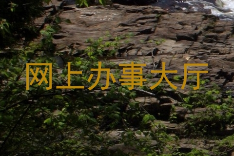 网上办事大厅