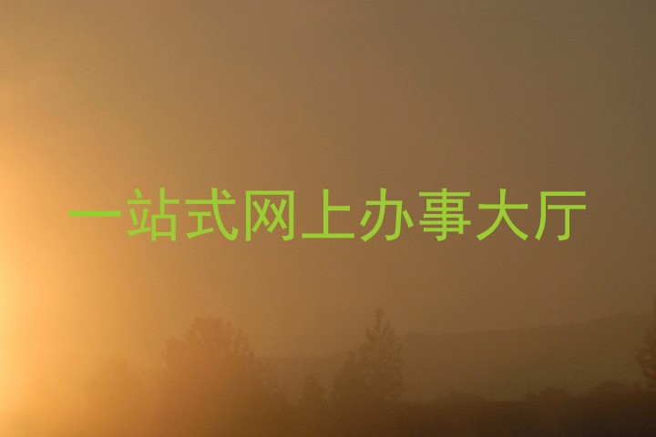 一站式网上办事大厅