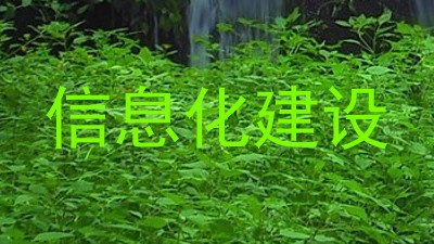 信息化建设