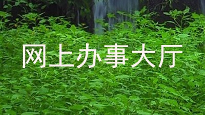 网上办事大厅