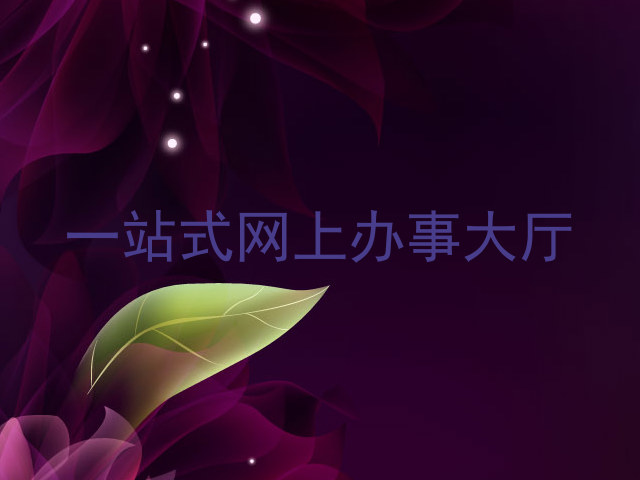 一站式网上办事大厅