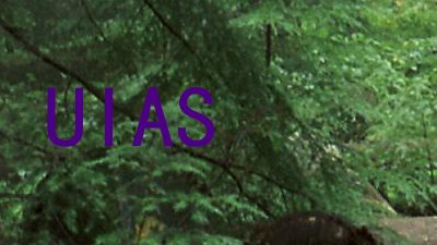 UIAS