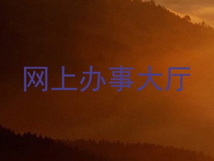 网上办事大厅