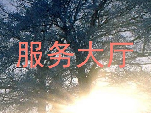 服务大厅