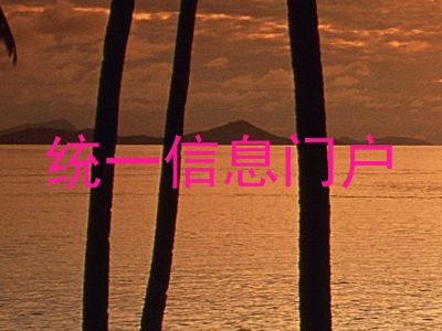 统一信息门户
