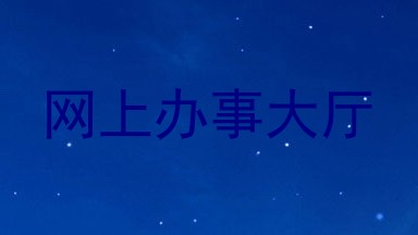 网上办事大厅
