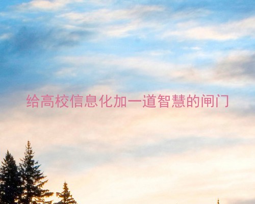 给高校信息化加一道智慧的闸门