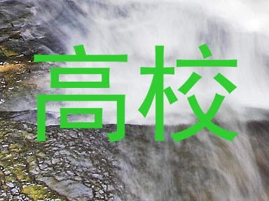 高校
