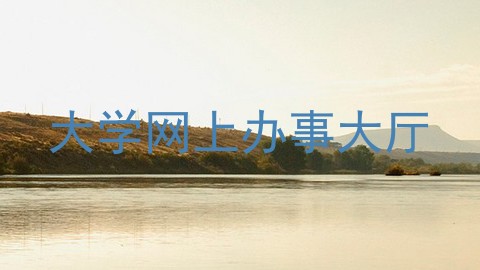 大学网上办事大厅