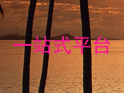 一站式平台