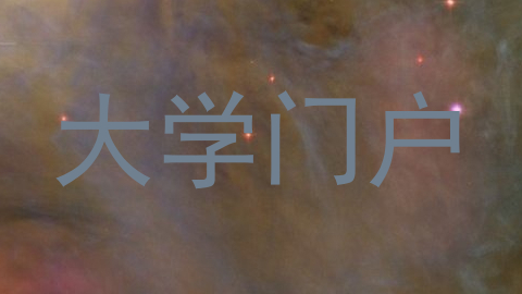 大学门户