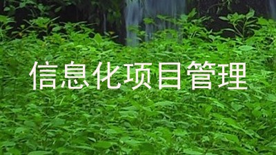 信息化项目管理